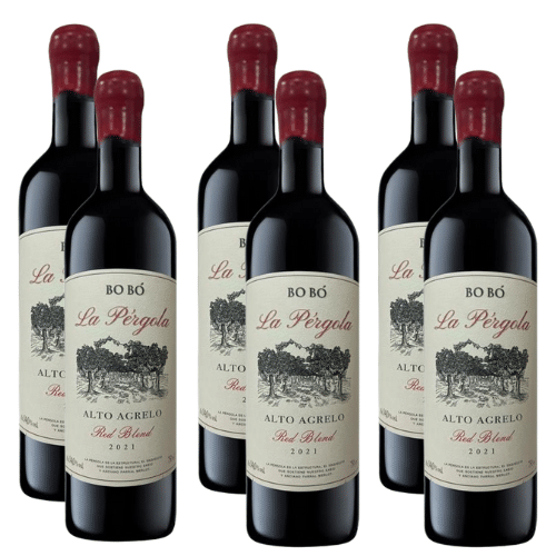 Bobó La Pérgola - Alto Agrelo Red Blend 2021