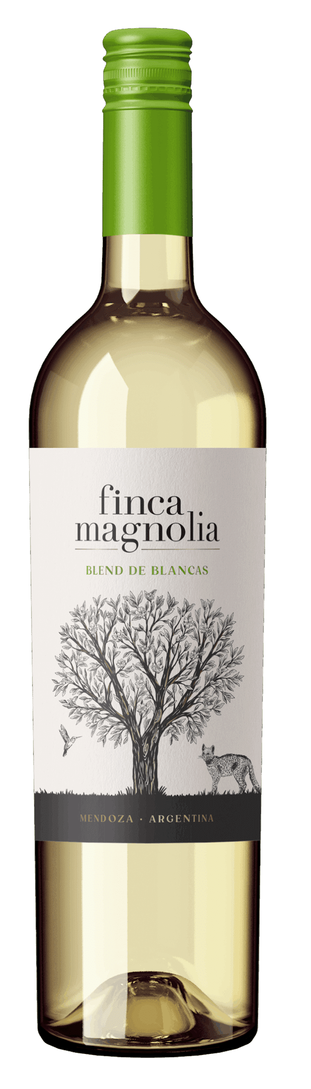 Colección Experiencia Finca Magnolia Colección Experiencia Finca Magnolia