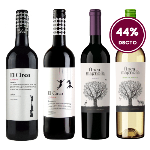 Colección Festival - 4 Unidades