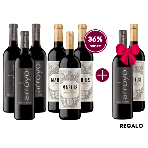 Colección Ciudad Real - 6 Unidades